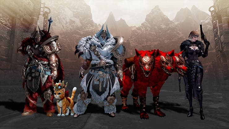 Team Update: Founder’s Packs & Server Status